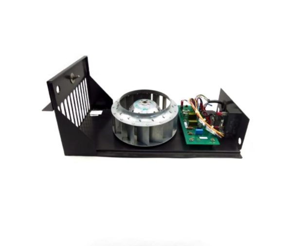 IPFAN11